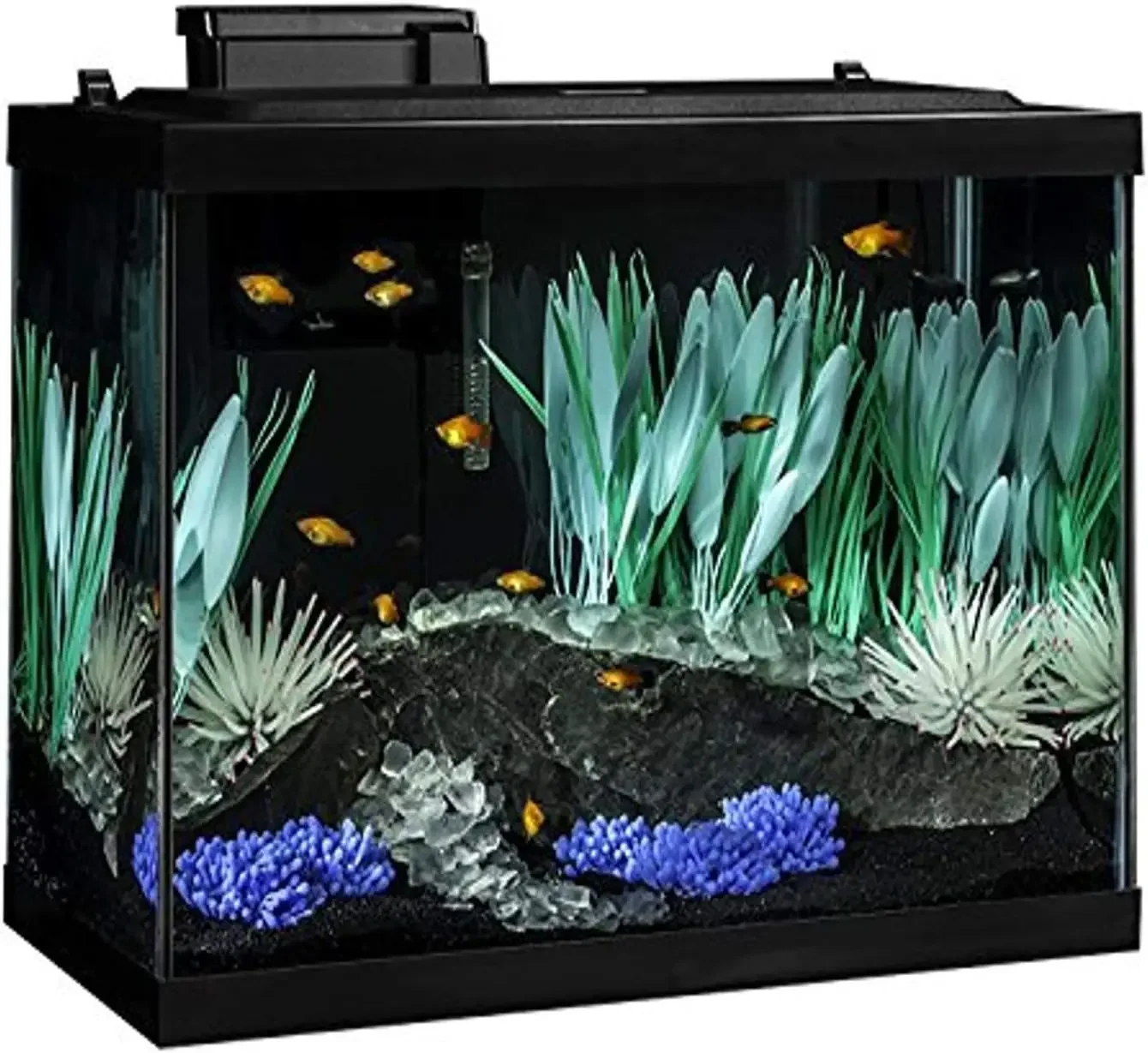 Aquarium 20 Gallon Fish Tank Kit, Includes LED Lighting and Decor