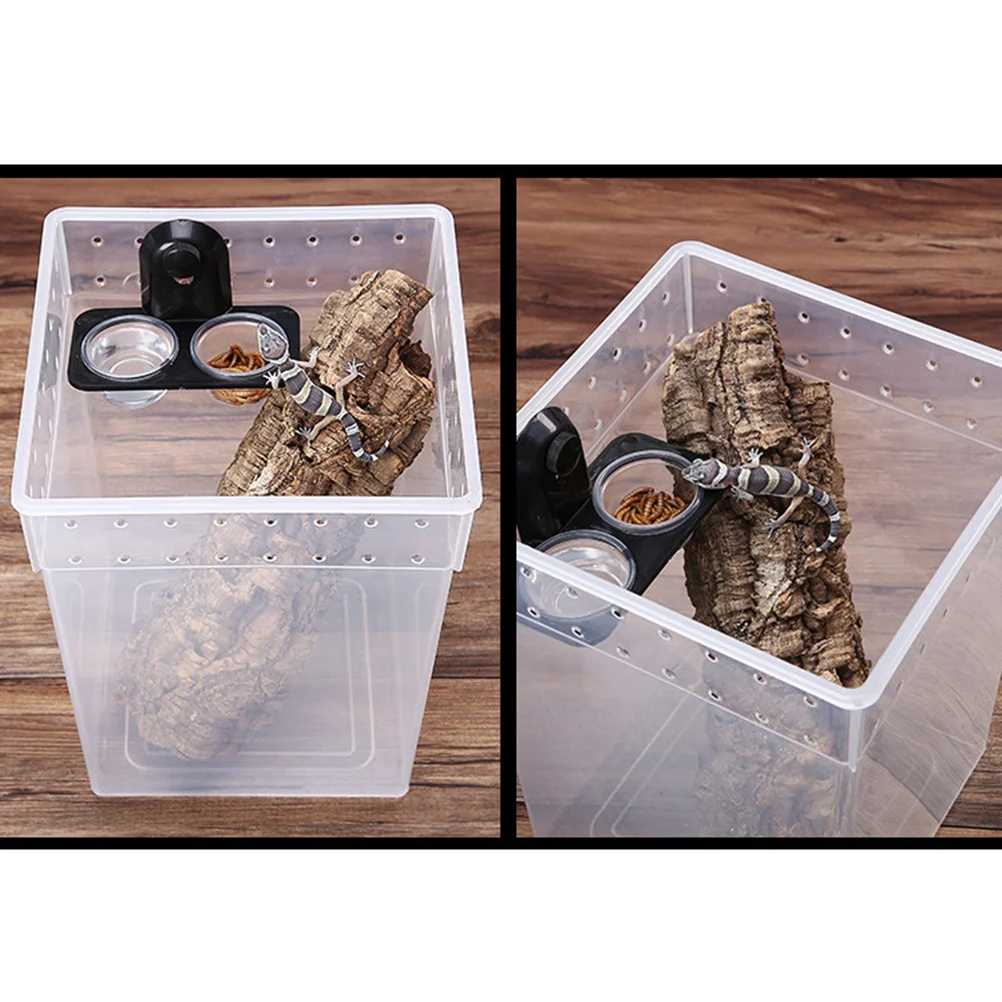 Magnetic Gecko Ledge Pet Supplies Turtle Reptile Terrariums Animal Feeder Food Glass Bowl Spider to