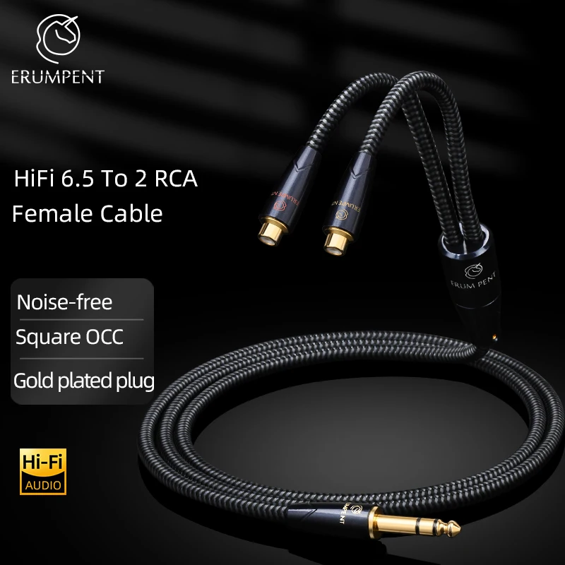 

ERUMPENT HiFi 6.5mm to 2RCA Audio Cable for CD AMP 6.5mm TRS Stereo Jack to 2RCA Female Adapter Extension Audio Cable
