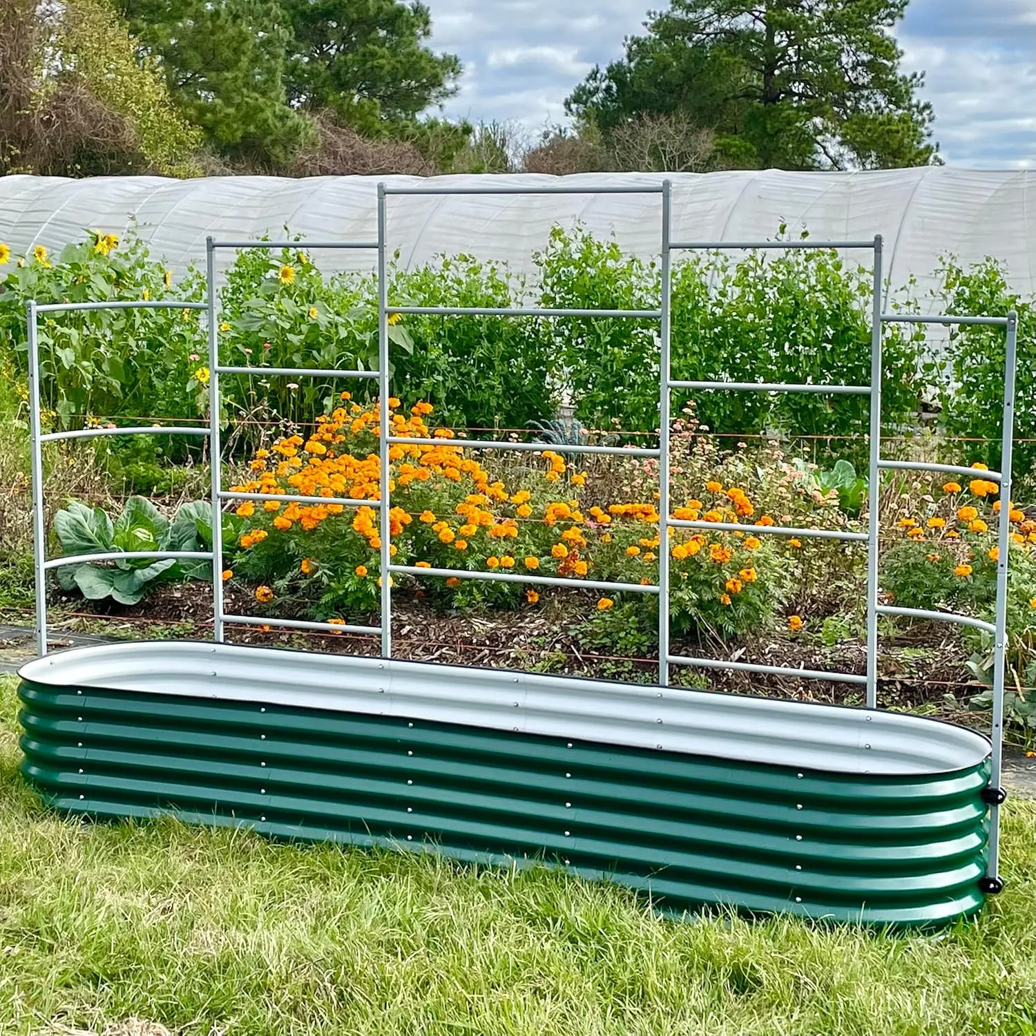 Modułowy system kratowy ścienny Vego Garden, trójsekcyjny długi dla 2,0' x 5,0' (4 w 1) lub (6 w 1) lub