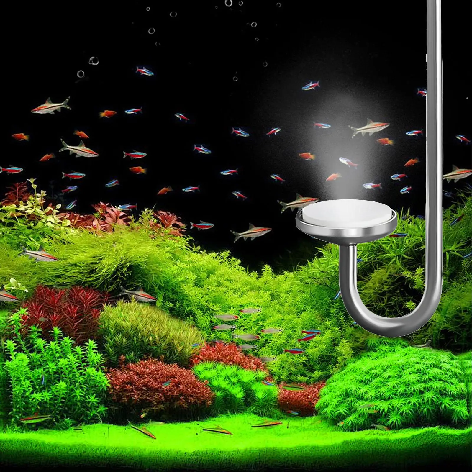 Aquarium CO2 Atomiz…