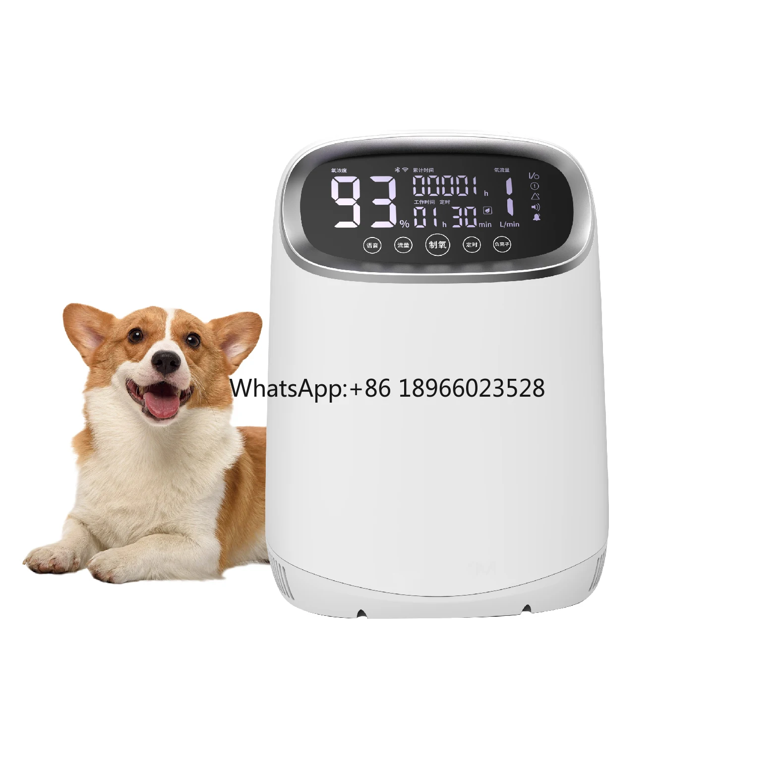 Medical Grade Veterinary Hospital Dual Purpose Atomizatoin Pet Medical Oxygene Concentrator