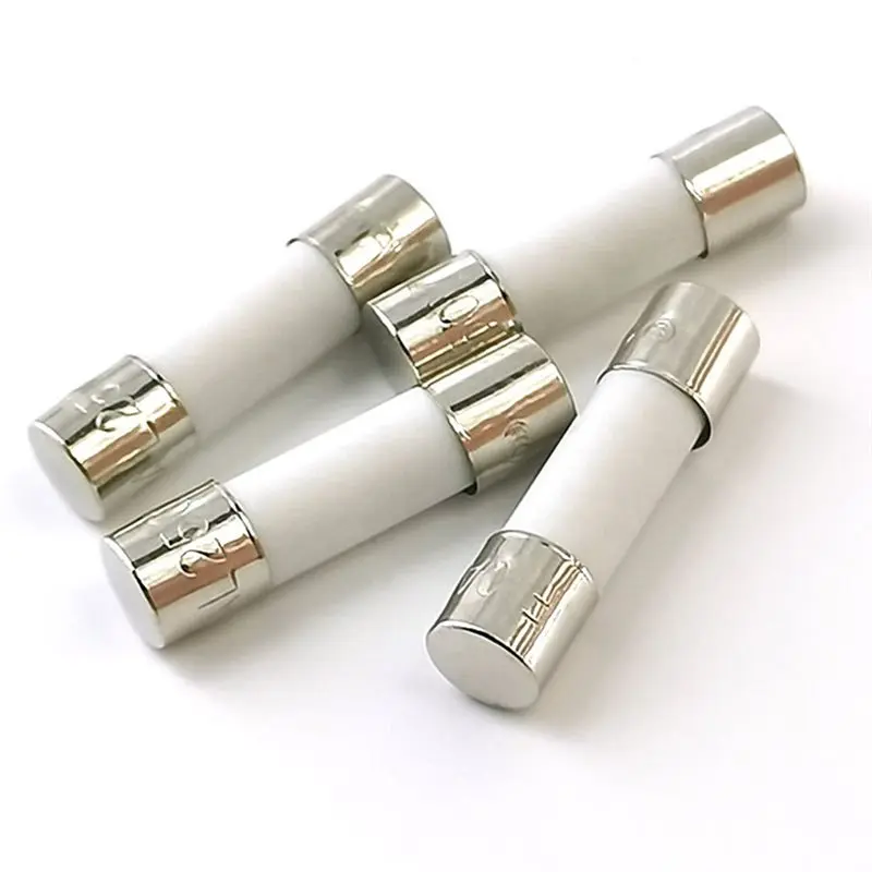 [B17B!】 100Pcs Tube Fuses 5X20mm Fast-Blow Slow-Blow 250V For Circuit Protection