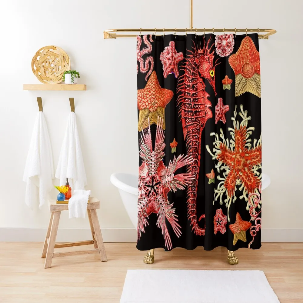 RED SEAHORSE AND SEASTARS IN BLACK Sea Life Shower Curtain Bathroom Accessorys Cover Curtain