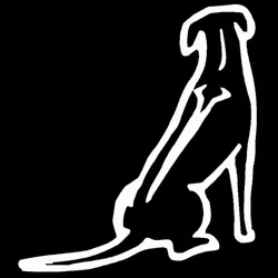 13*15cm Exterior Accessories Decal Rhodesian Ridgeback Dog Car Stickers Reflective Vinyl Decals Car Styling