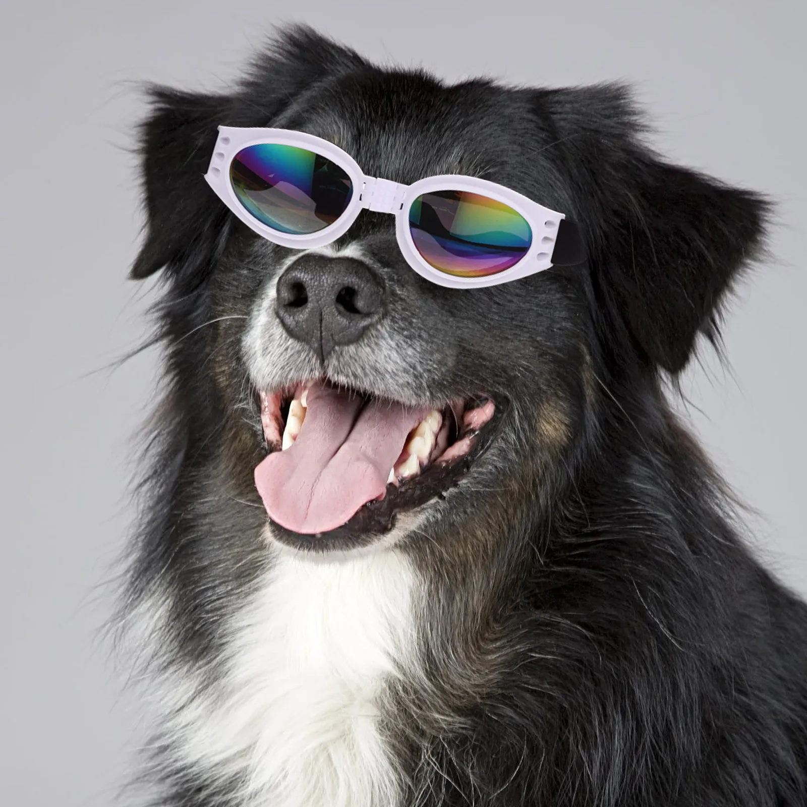 

Pet Dog Sunglasses Foldable Anti-Uv Small Breed Windproof Goggles Adjustable Eyewear Halloween Photo Props Small Dog Goggles