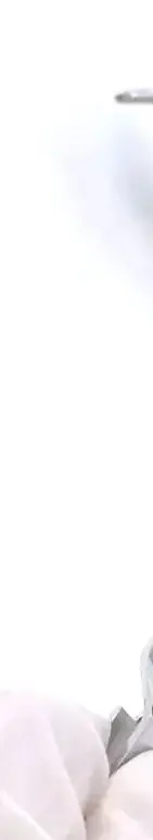 

Dental Ring Placed Pliers Dental Tools Arranged Rubber Clamp Separator Circle Pliers Elastic Ligature Ties Forceps Dental Tools