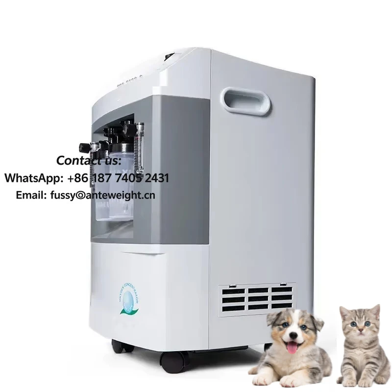 Medical Use Veterinary Industrial Home Portable 10L Oxygen Generator Oxygene Concentrator for Pet Care