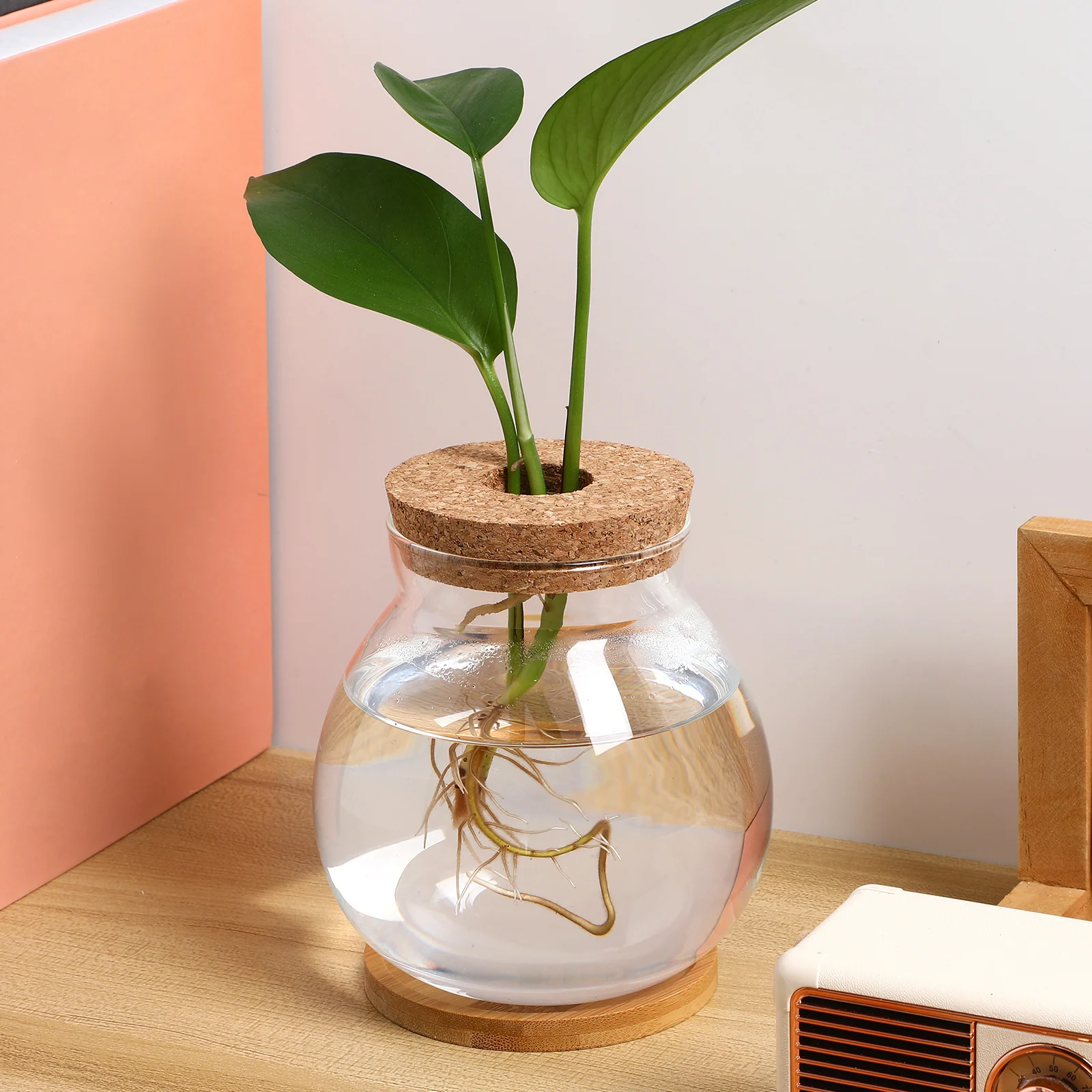 

Glass Fish Tank Plant and Terrarium Hydroponic Aquarium Bowl Jar Bowls for Hydroponics Small Office Desk Planter Cover Desktop