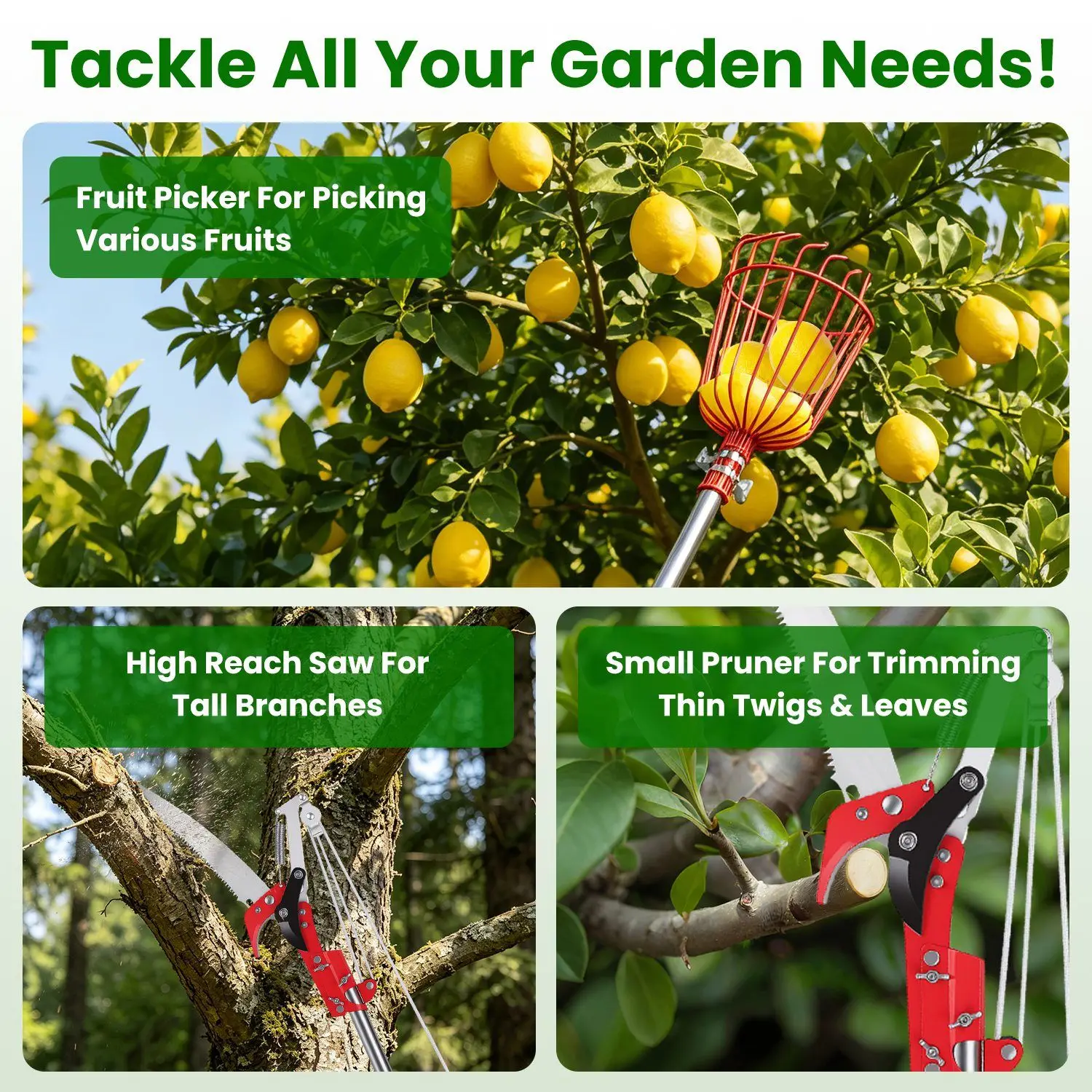 2-in-1 Pole Saw & Fruit Picker with Extendable Stainless Steel Pole