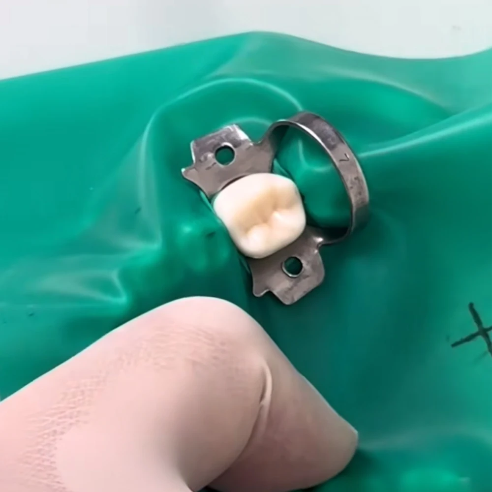 Size 50 Stainless Steel Rubber Dam Clamps for Dentistry Endodontic Restorative and Orthodontic Applications