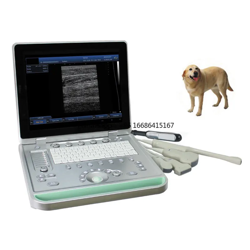 MY-A009 Multi-language Ultrasonidos Portatiles Animals Medical Portable Laptop Veterinary Machine With Rectal Probe