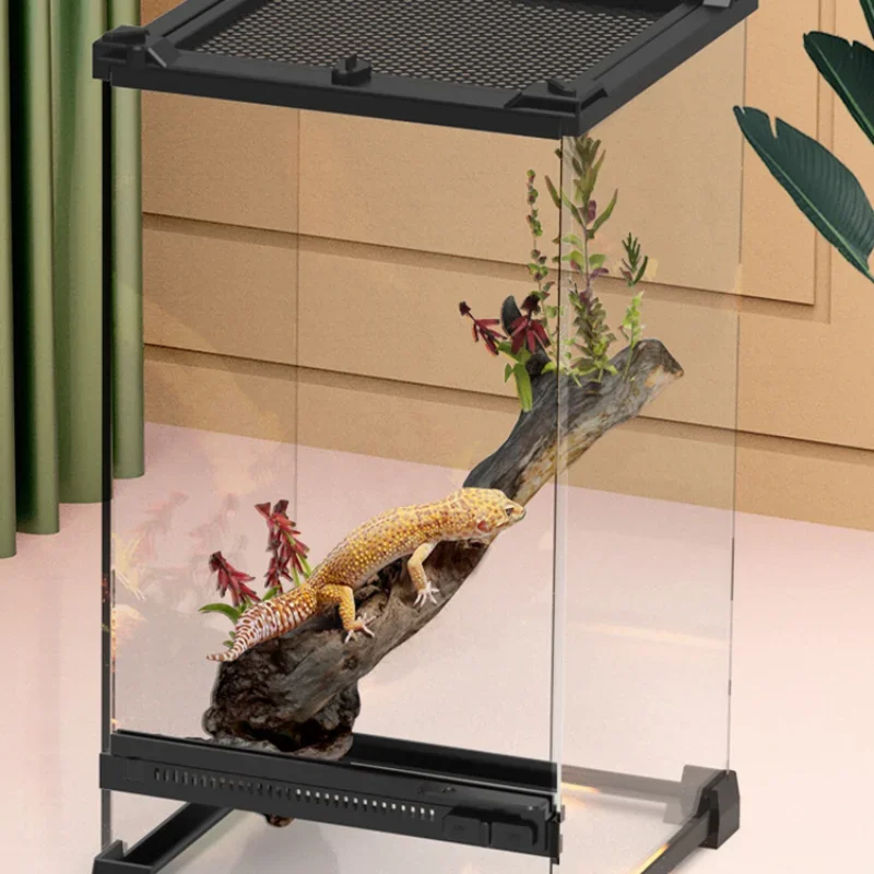 Amphibious Climbing Pet Breeding Box Ecological Landscape Tempered Glass Single Door Rainforest Tank Lizard Turtle Breeding Box