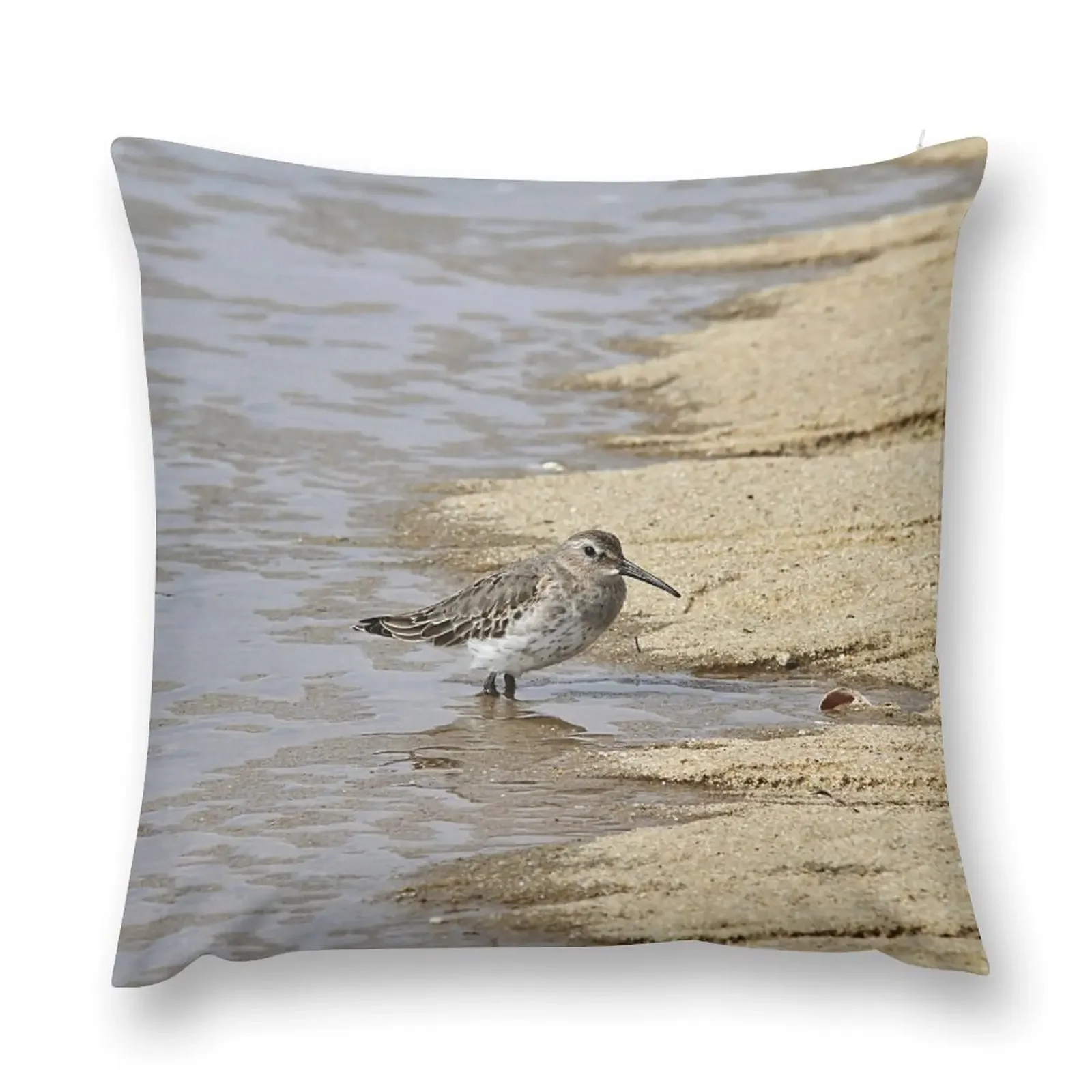 Sandpiper at the shore Throw Pillow Pillowcase Cushion covers for pillows pillow