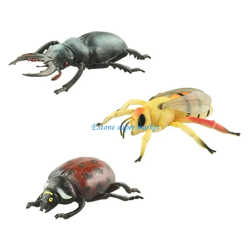 090B Realistic Insect Model Figurine Set For School Biology Lesson And Hands On Nature Science Learning Educational Toy 3PCS