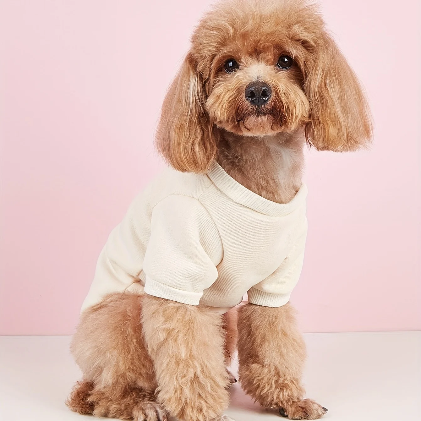 Pet clothes, dogs, cats, sweatshirts, warm and comfortable with velvet, printed clothes, simple and generous