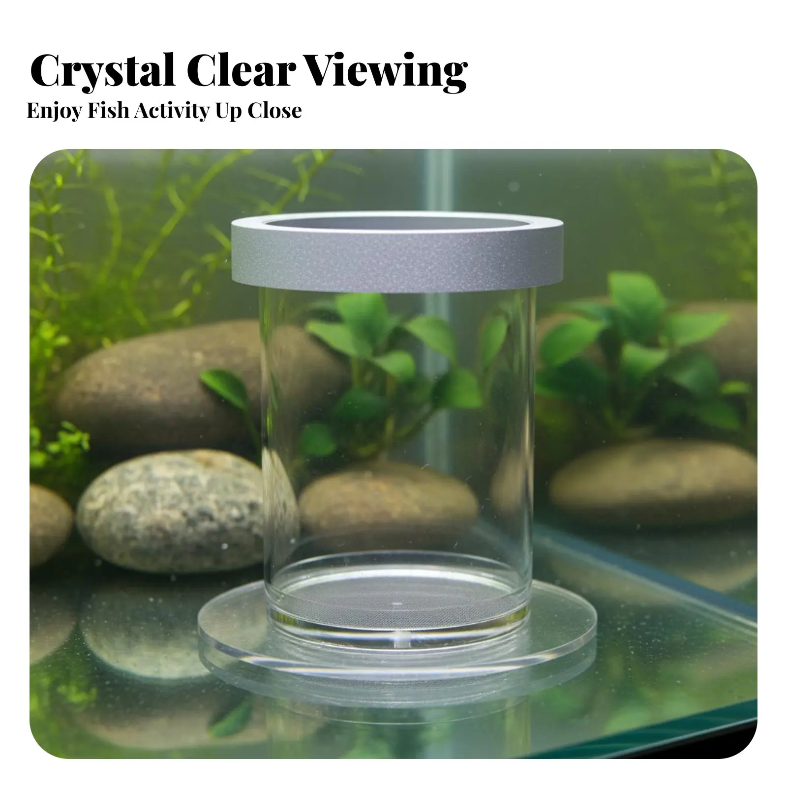 

Aquatic Creature Breeding Box High Clearness Aquatic Creature Habitat Breeder Box Aquatic Creature Container Hatchery
