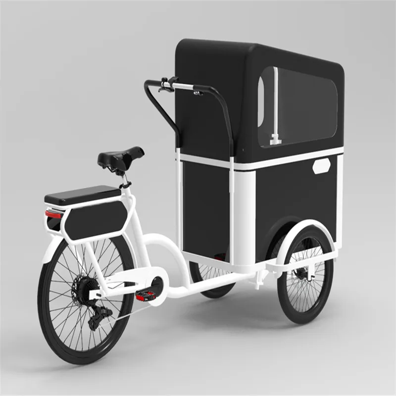 2021 New Designed Electric Or Pedal 3 Wheels Cargo Bike For Carrying Kids Or Pets For Sale