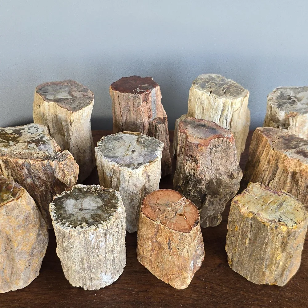 1 Stück Natürlicher Mineralischer Zylindrischer Versteinertes-Holz-Stein-Artefakt, Energie-Kristallscheibe, Rohstein-Holz-Exemplar – Detail 2