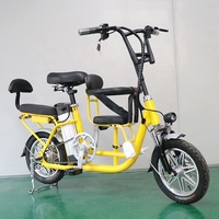 Mini Folding Electric Bike 1000w E Bike Low Rider Electric Dirt Bike Cheap Sale Distributor Parent Child Electric Bicycle