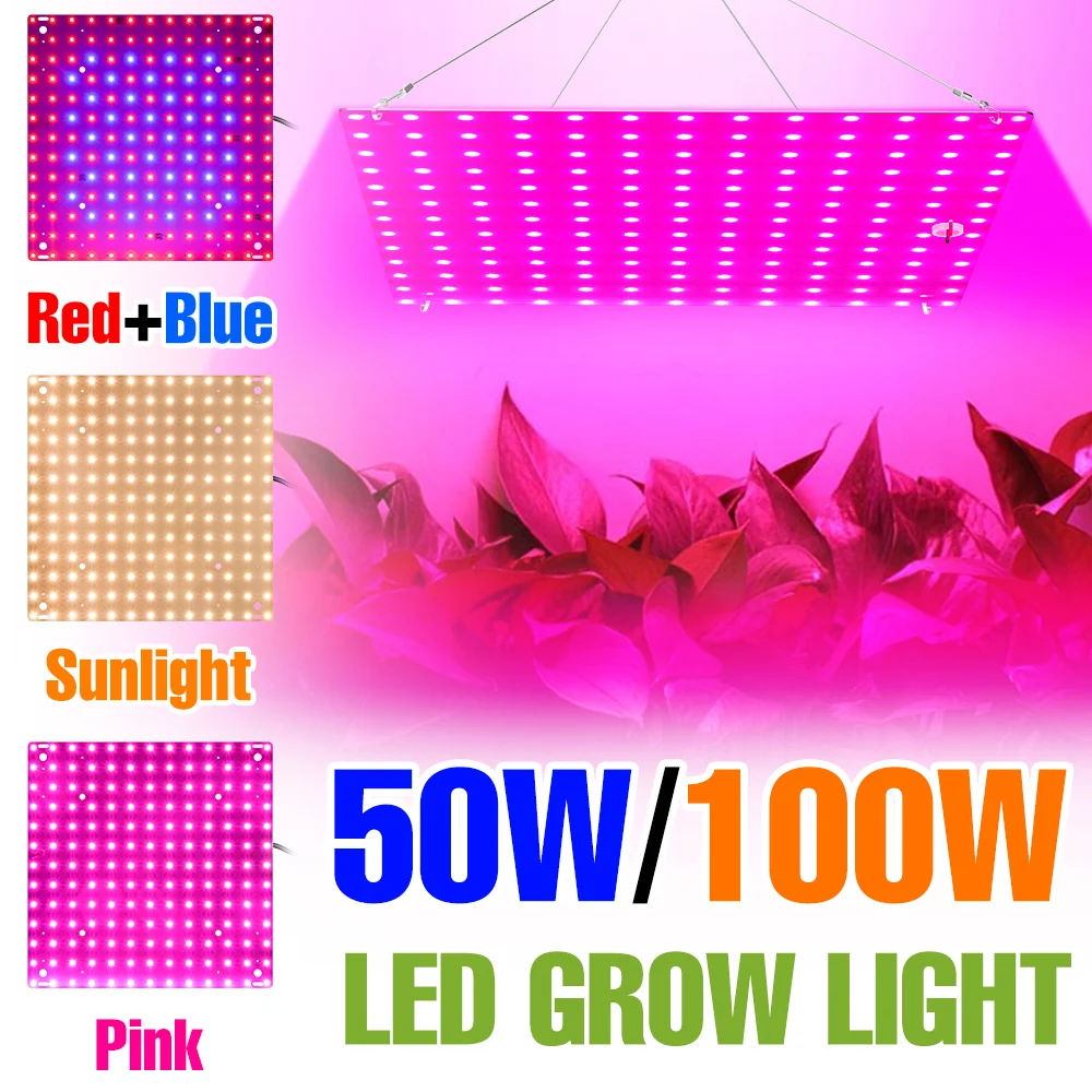 

100W Full Spectrum Plant Lamp LED Quantum Board Seeds Grow Light Greenhouse Tent Indoor Vegs Potted Cactus Cultivation Lighting