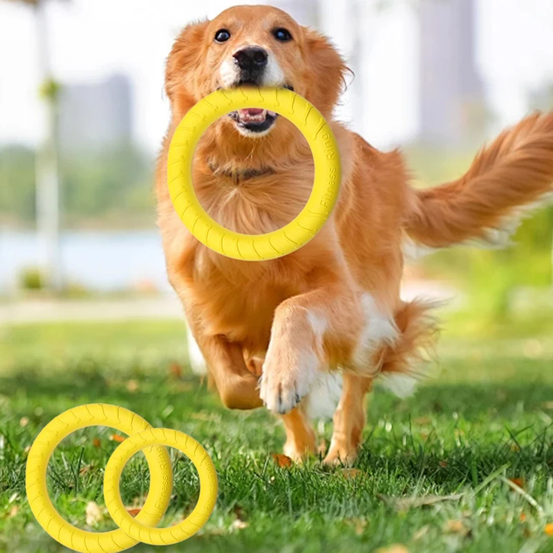 #17 Top 50 Dog Fetch Toys Worth Buying In 2026