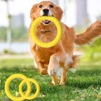 Dog Flying Ring Toy 1