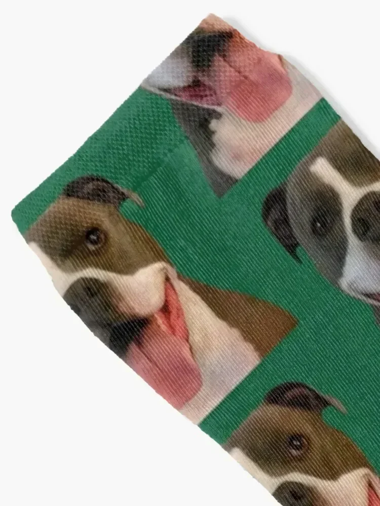 Seamus Socks warm winter with print luxury valentine gift ideas Boy Socks Women's