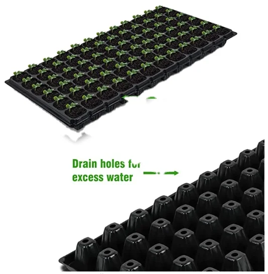 72홀 묘목 트레이 자동 채소 육묘기용 홀 트레이 파종기
