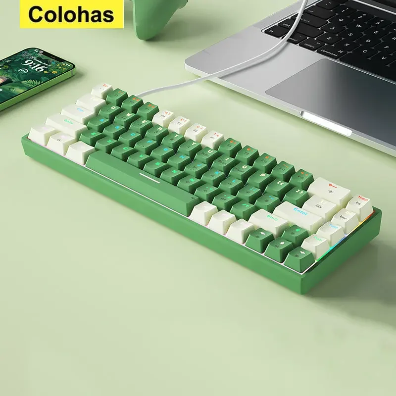 Wired Mechanical Keyboard Ergonomics 68 Keys RGB Hotswap Type-C Gaming Keyboard PBT Keycaps Keyboards For PC Computer Laptop