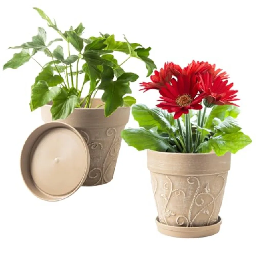 

Plant Pots Indoor with Drainage Saucer 2Pack 8 inch Flower Pots Outdoor Planters for Indoor Plants Garden Home Dr Cactus Succul