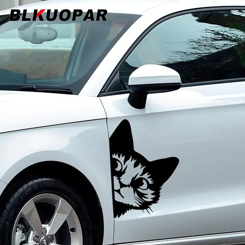 

BLKUOPAR 43 см x 30,43 см подглядывающая киска, автомобильные наклейки, креативная солнцезащитная наклейка, окна, багажник, лобовое стекло, RV, караван, бампер, автомобильная этикетка
