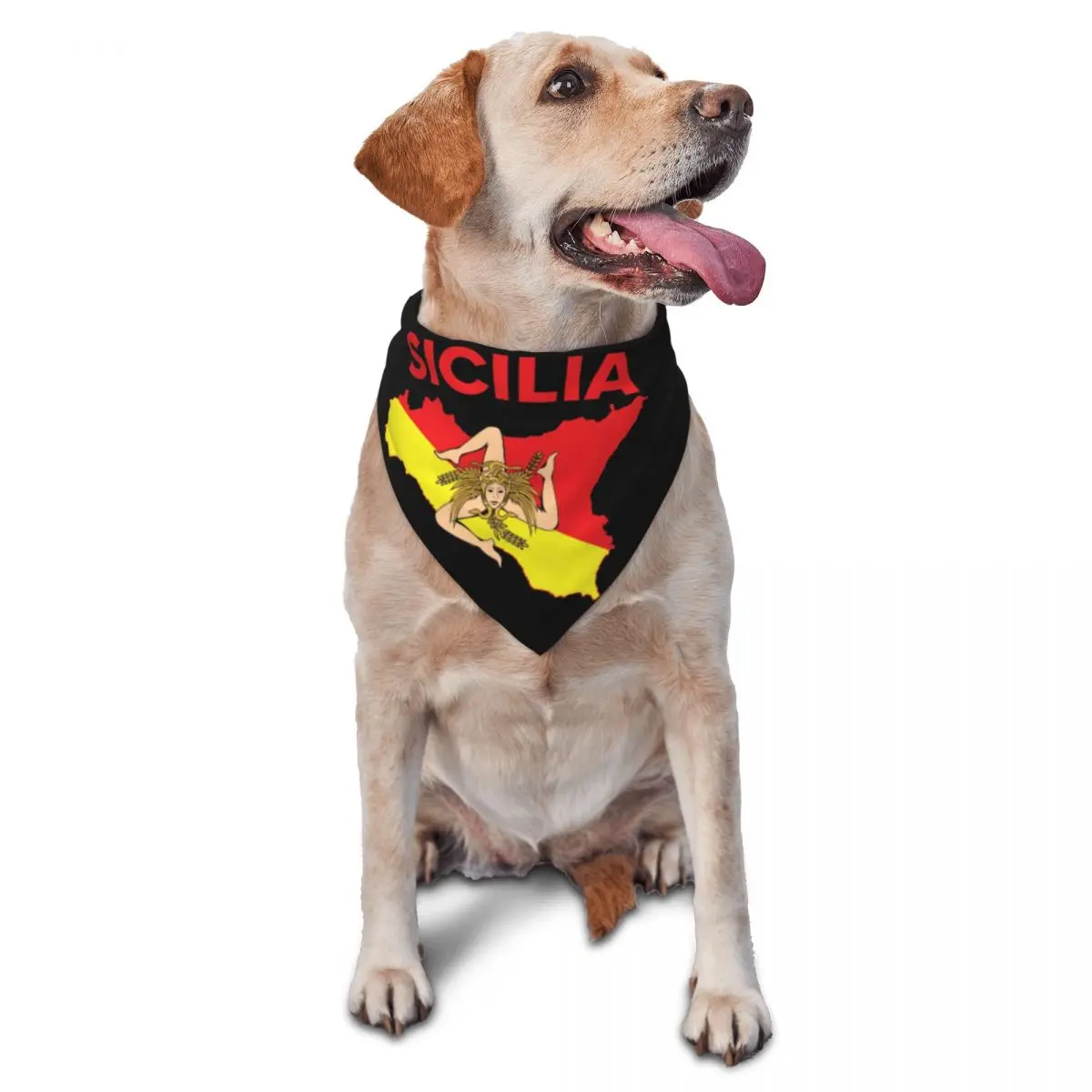 Custom Map Of Sicily Trinacria Pet Triangle Bibs Puppy Cat Scarf Neck Decoration Thin Sicilian Pride Pet Bandana Pet Accessories