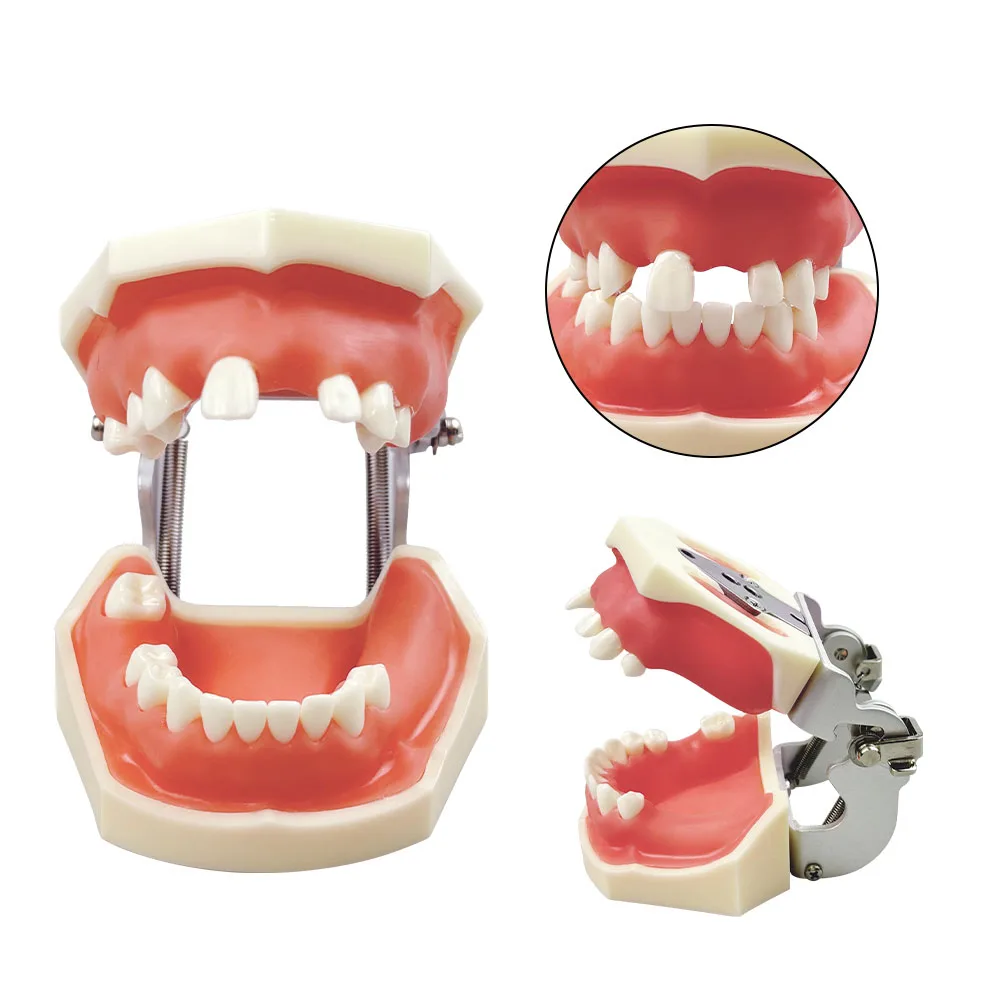 

Модель зубного имплантата Модель для тренировки верхнечелюстной нижней пазухи Избежающий зуб Верхняя нижняя часть щелепи Имплантат зубов Практика Учебная модель