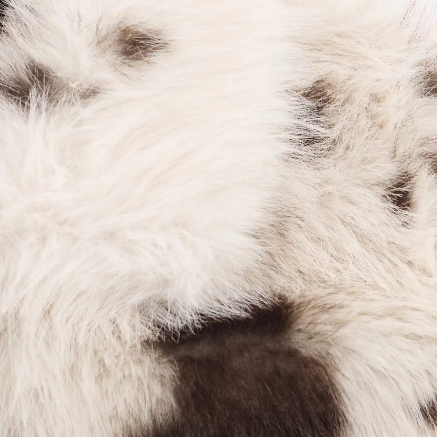 2025 سترة تأثير الفرو الصناعي أنيقة، عصرية، نمط جديد، ملابس مكتب مريحة، كاجوال، متعددة الاستخدامات، عتيقة، ملابس خارجية مثيرة