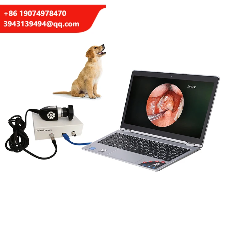 Video Otoscope Portable Usb Hd Veterinary Ent Endoscope