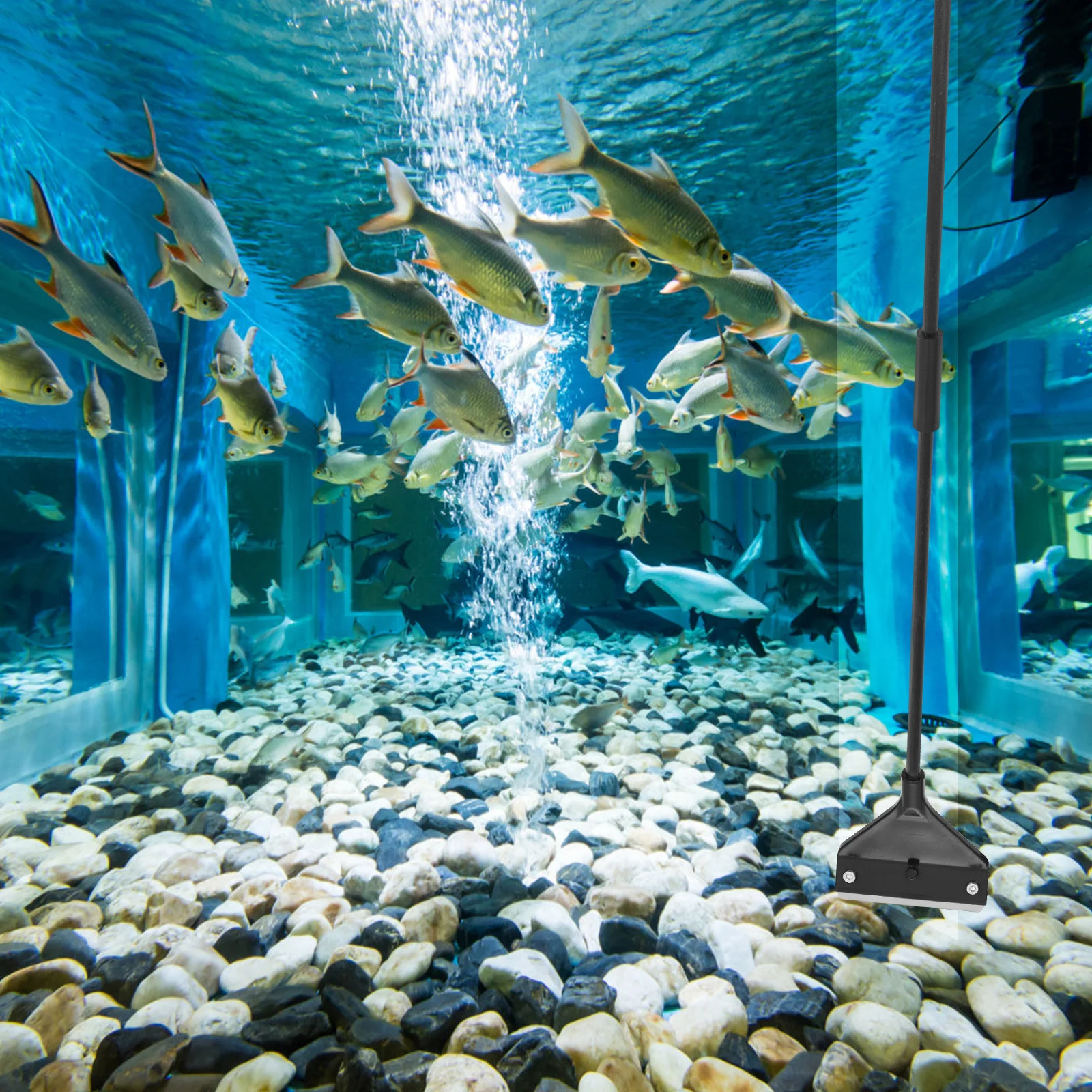 

Aquarium Algae Scraper Plastic Fish Tank Cleaning Tool for Glass Aquariums Long Handle Scraper Fish Tank Supply