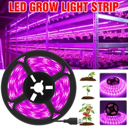 Full Spectrum USB LED Planta Crescer Luz, Phyto Lâmpada, Tira para Sementes, Tenda de Estufa de Flor, Hidropônico, 5V, 1m, 2m, 5m