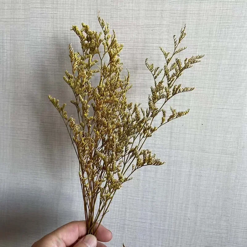 Preserved Grass Dancing Flower 10~12CM/15PCS Real Natural Small Dried Love Herb Flowers Branches DIY For Candle Making Materials