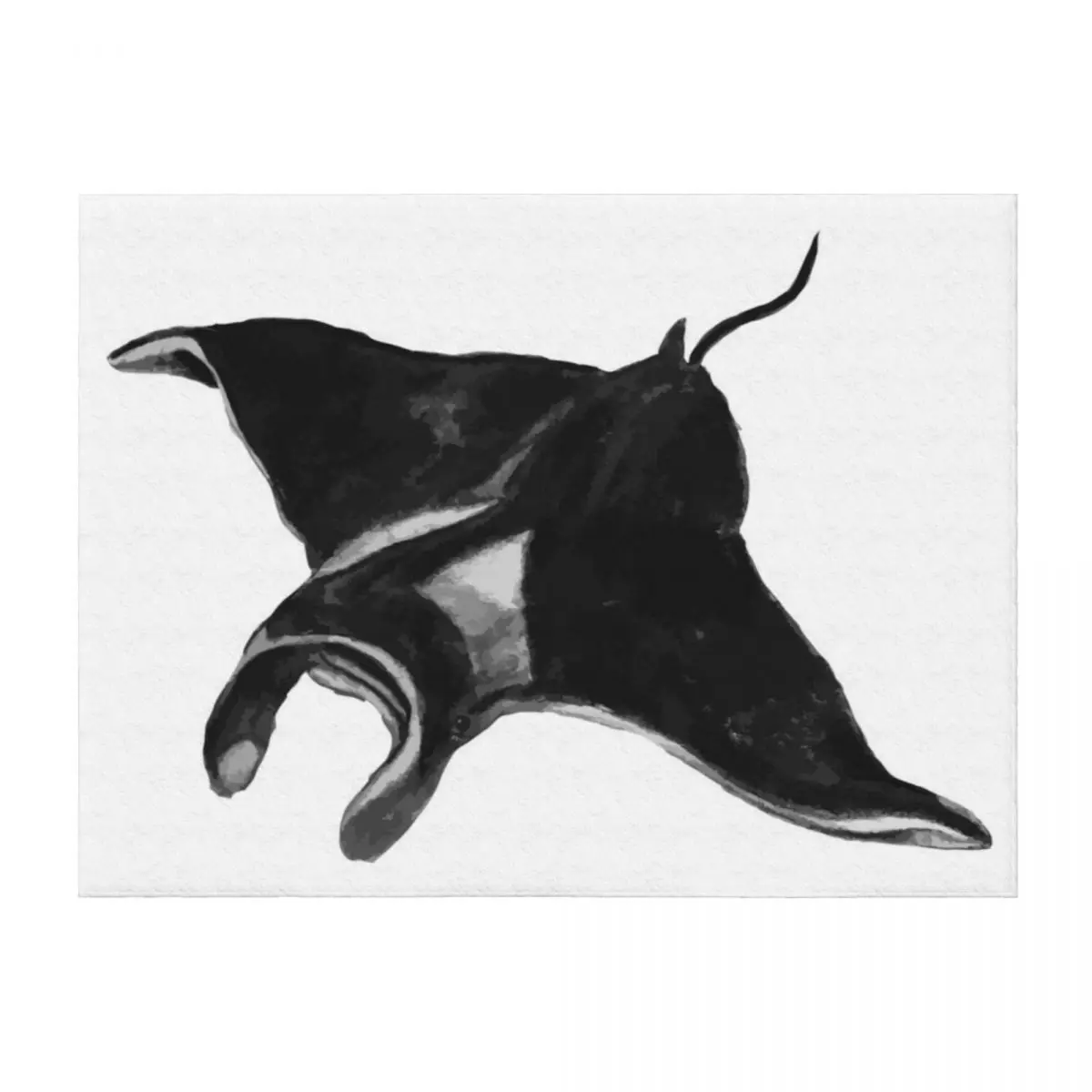 

Manta Ray Drawing Throw Blanket sofa bed for sofa wednesday Summer Blankets