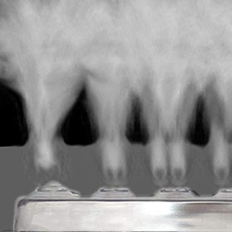 6X 12 teste Mist Maker Ultrasonic Mist Fogger umidificatore d'aria fontana d'acqua Fog Maker Machine Fogger in acciaio inossidabile