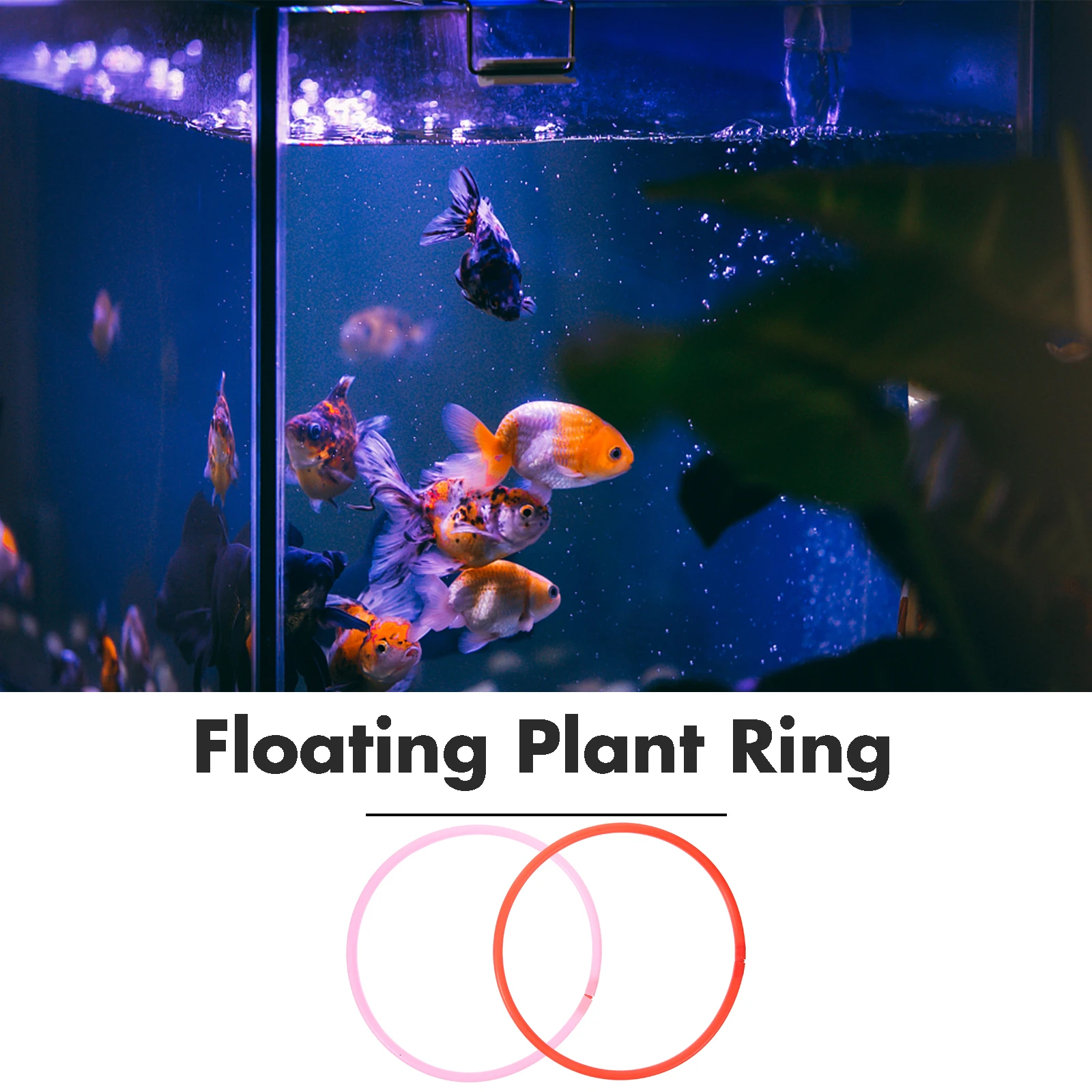 

6 Pcs Feeding Ring Aquarium Accessories Feeder Fish Tank Plant Aquatic Plants Fixed Floating Plastic Hoop