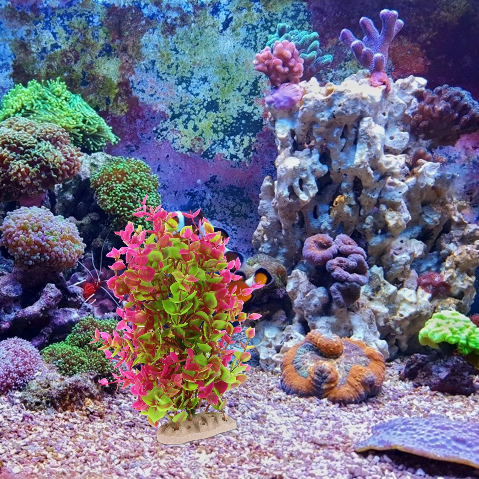 พืชน้ำเทียมสำหรับตกแต่งตู้ปลา  - Planted Aquarium Materials บทวิจารณ์และราคา