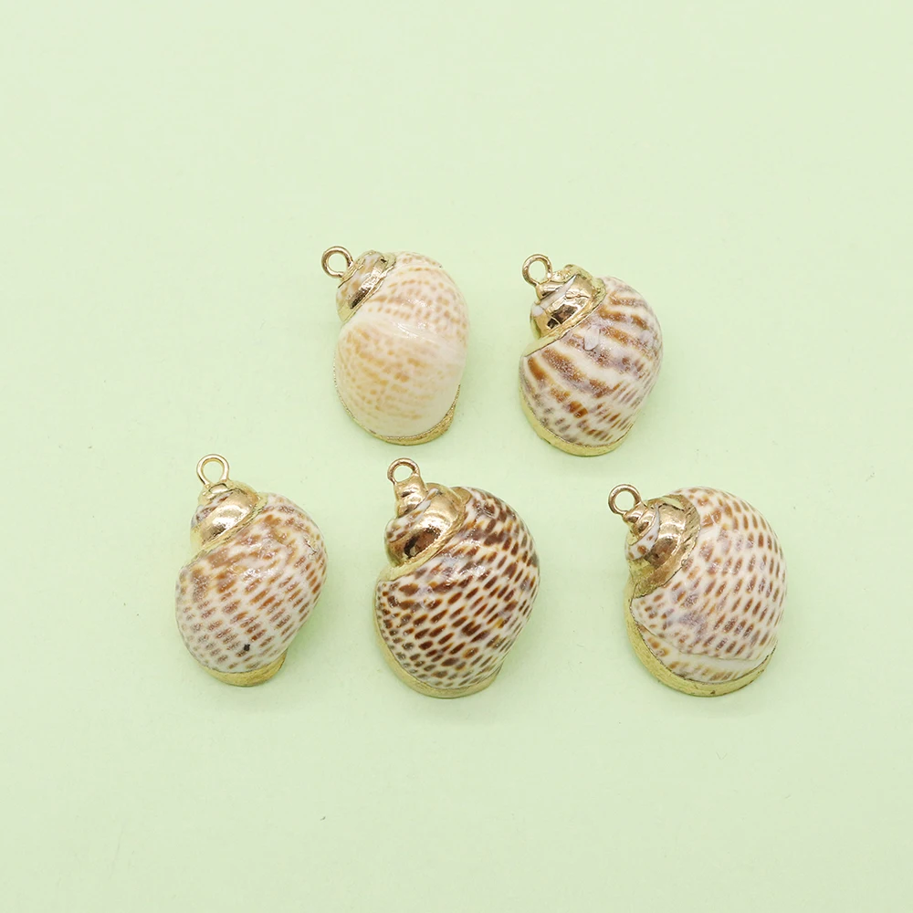 5pcs Fashion Natural Conch Shell Pendant Exquisite Jewelry Home Decoration Crafts DIY Charm Ocean Necklace Bracelet Accessories