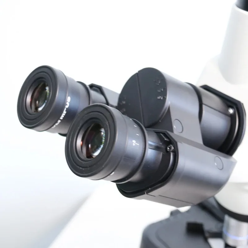 Binocular Biological Microscope, Laboratory Observation Instrument for Teaching & Research