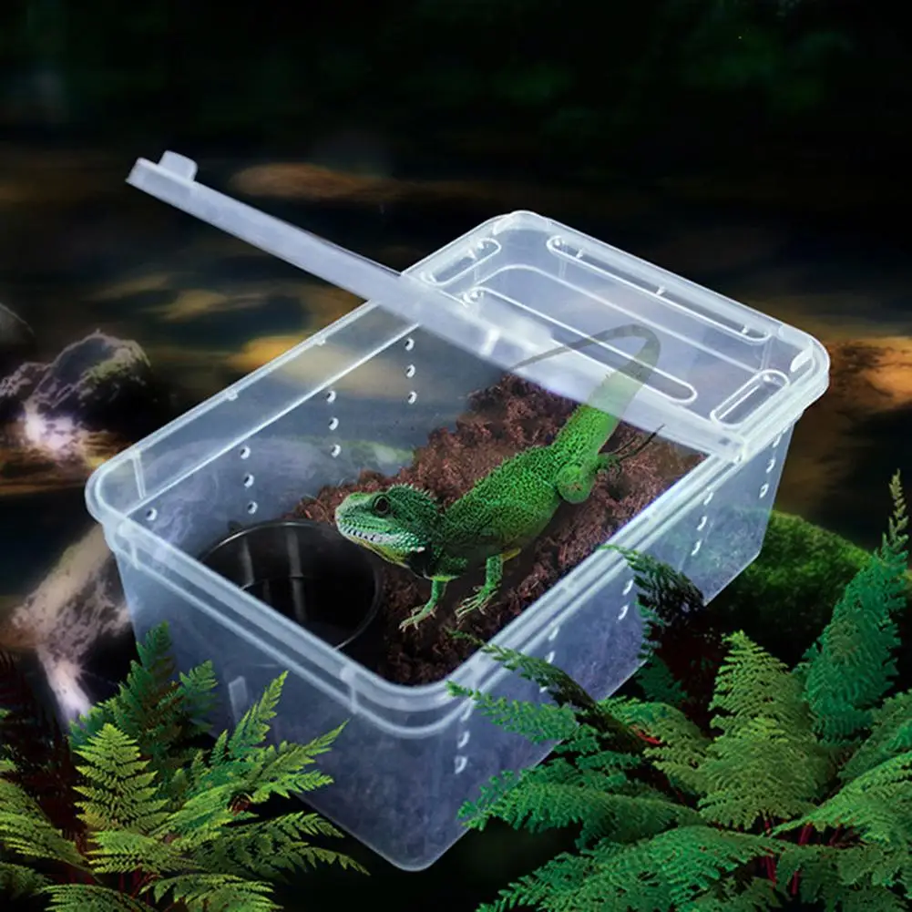 Reptile Rearing Box Reptile Terrarium Hamster Temperature Control Box Small Pet Feeding Boxes Terrarium Hedgehog Feeding Boxes