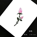 Rosa