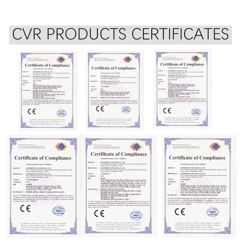 CVR Active 10 Inch Coaxial   Speaker Price Professional
