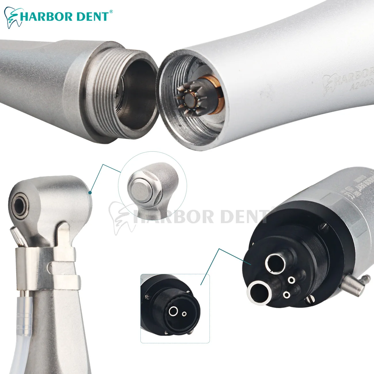 Dental Low Speed Handpiece 2/4Holes Air Motor Contra Angle Straight Handpiece Teeth Polishing Tool