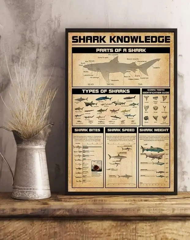 Retro Metal Tin Sign 8 X 12 Inches Shark Knowledge Parts Types of Shark Shark Tooth Identification Guide Knowledge Poster Wall A